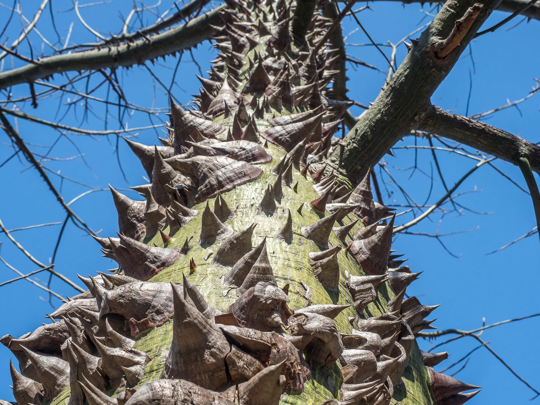 Rio Negro Hiking Trail, Chaco National Park, Argentina