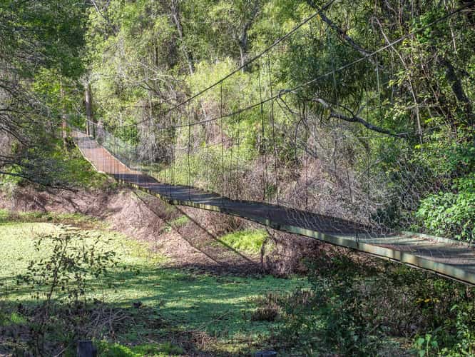 Rio Negro Suspension Bridge, Chaco National Park