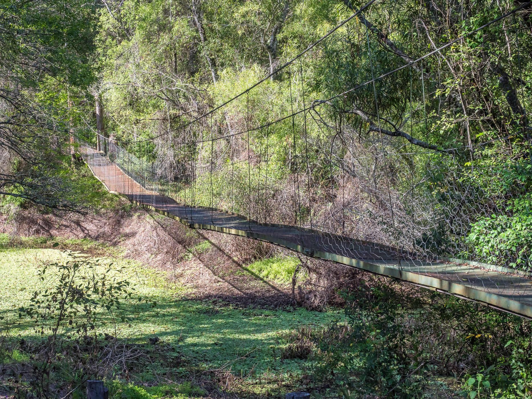 Rio Negro Suspension Bridge, Chaco National Park, Argentina