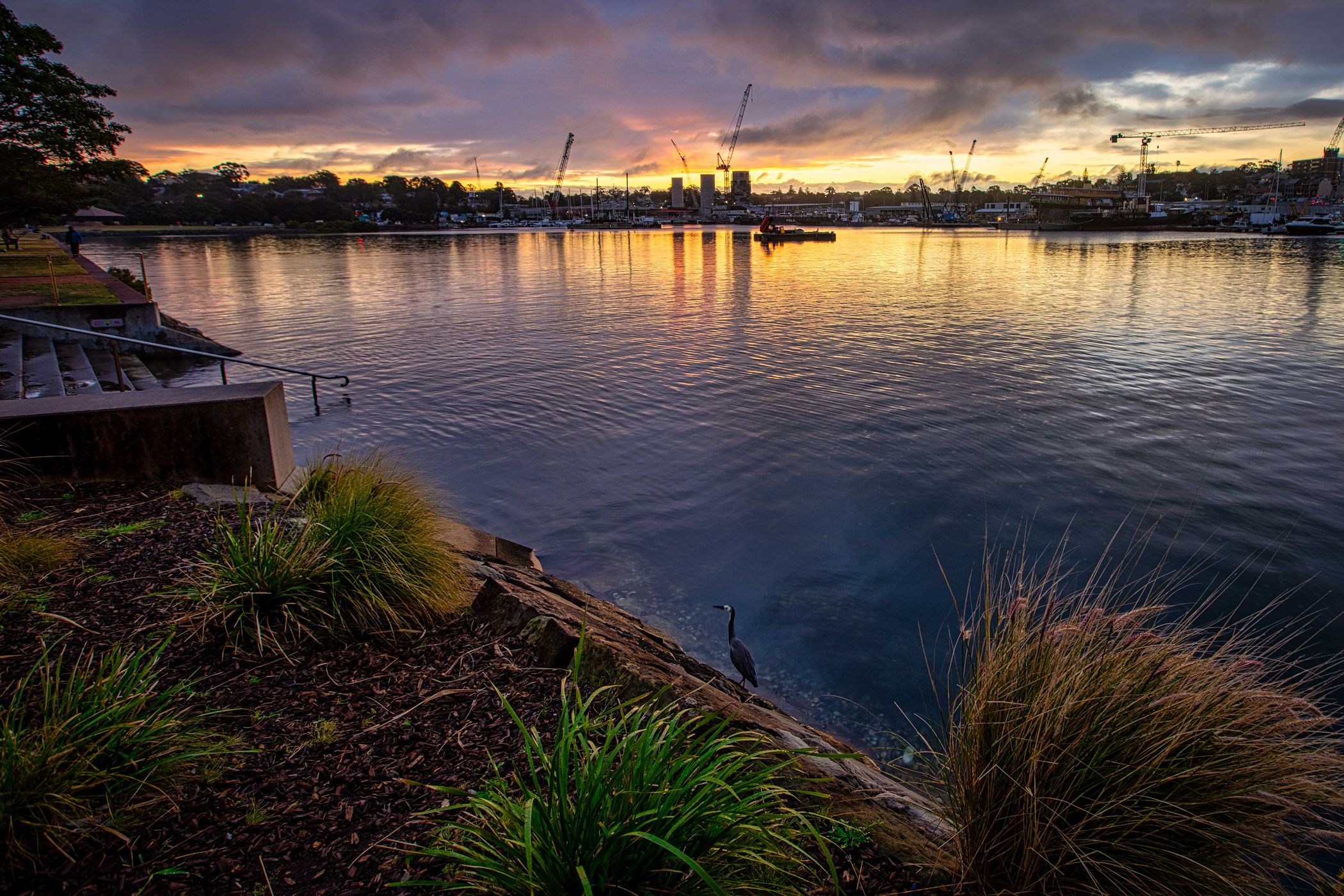 Rozelle Bay, Glebe Point, Sydney, New South Wales, Australia