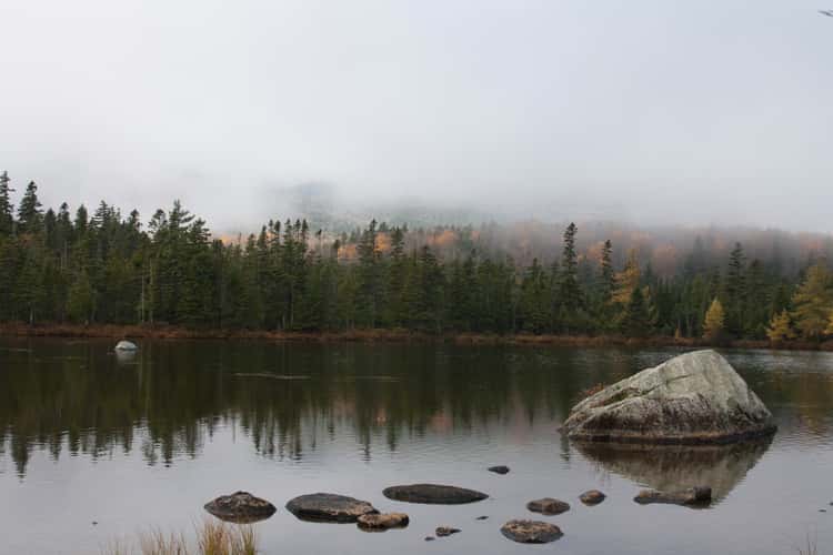 Sandy Stream Pond