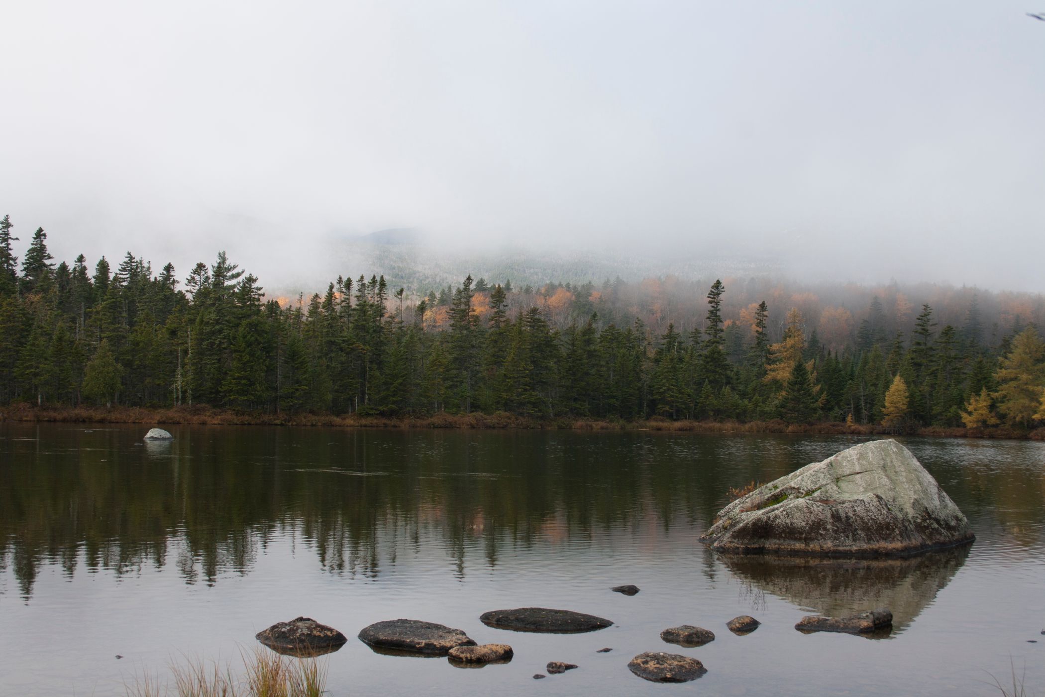 Sandy Stream Pond, USA