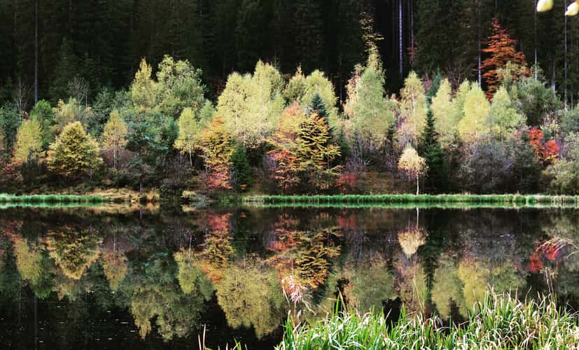 Sankenbachsee