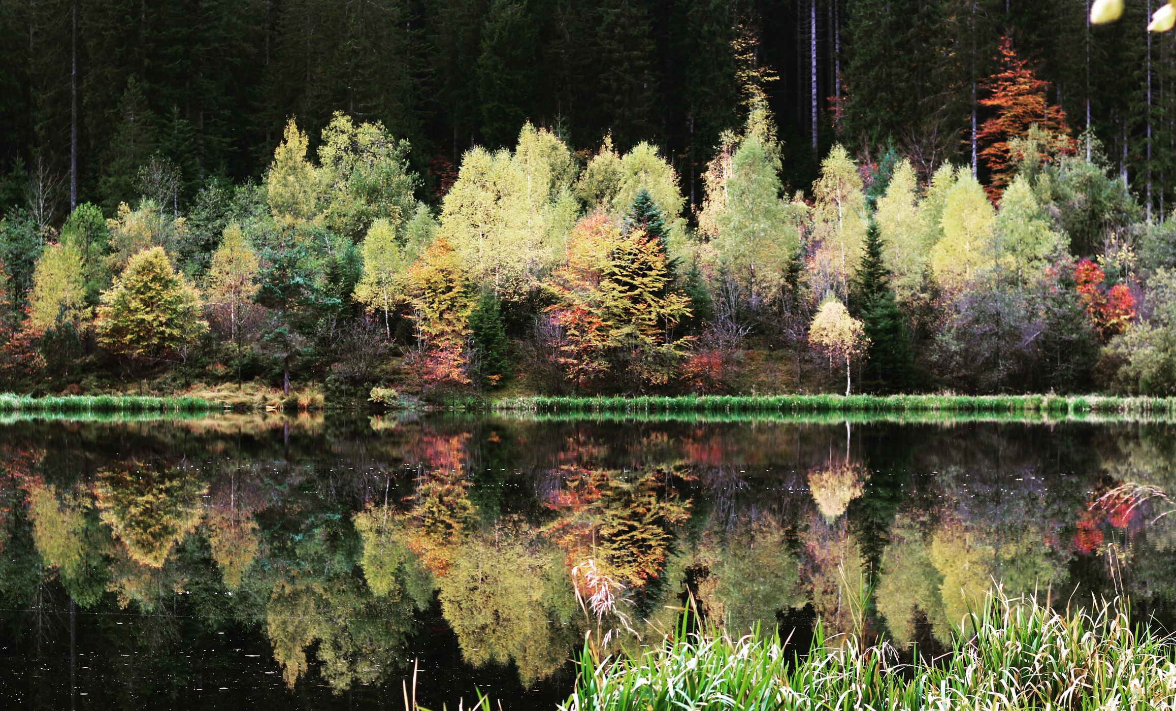 Sankenbachsee, Germany