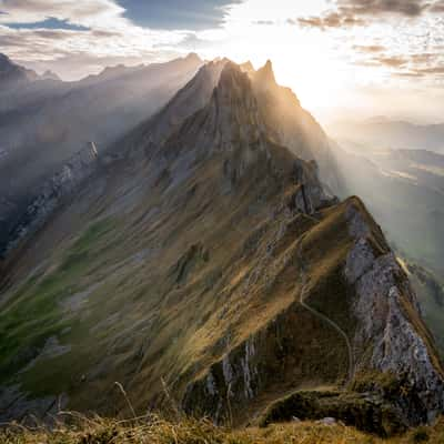 Schäfler, Switzerland