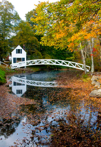 Somesville Museum and Gardens Footbridge