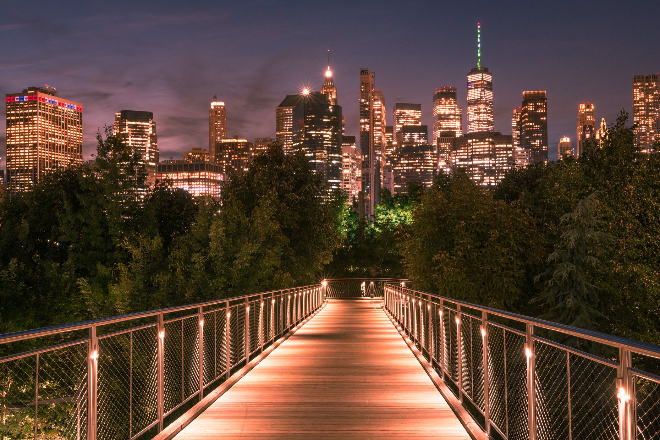 Squibb Park Bridge, USA