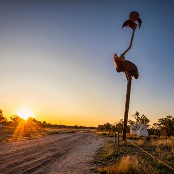 Stanley the Emu, Lightning Ridge, New South Wales, Australia