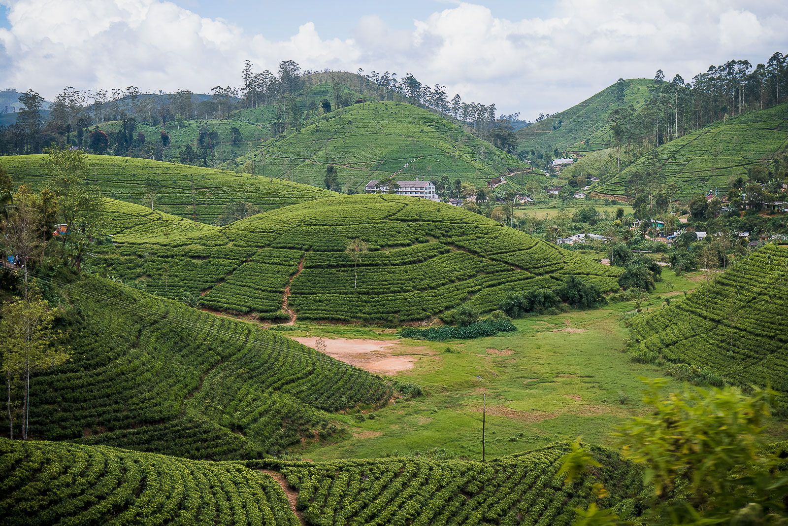 Tea plantations near Nuwawa Eliya, Sri Lanka