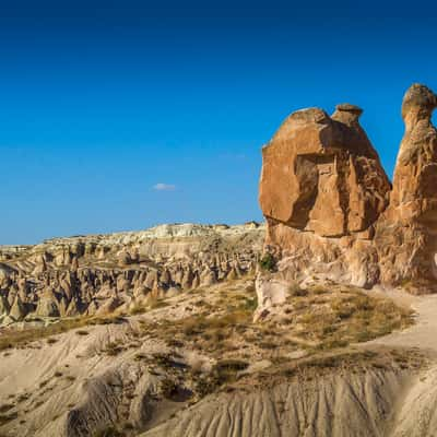 The Camel, Turkey (Türkiye)