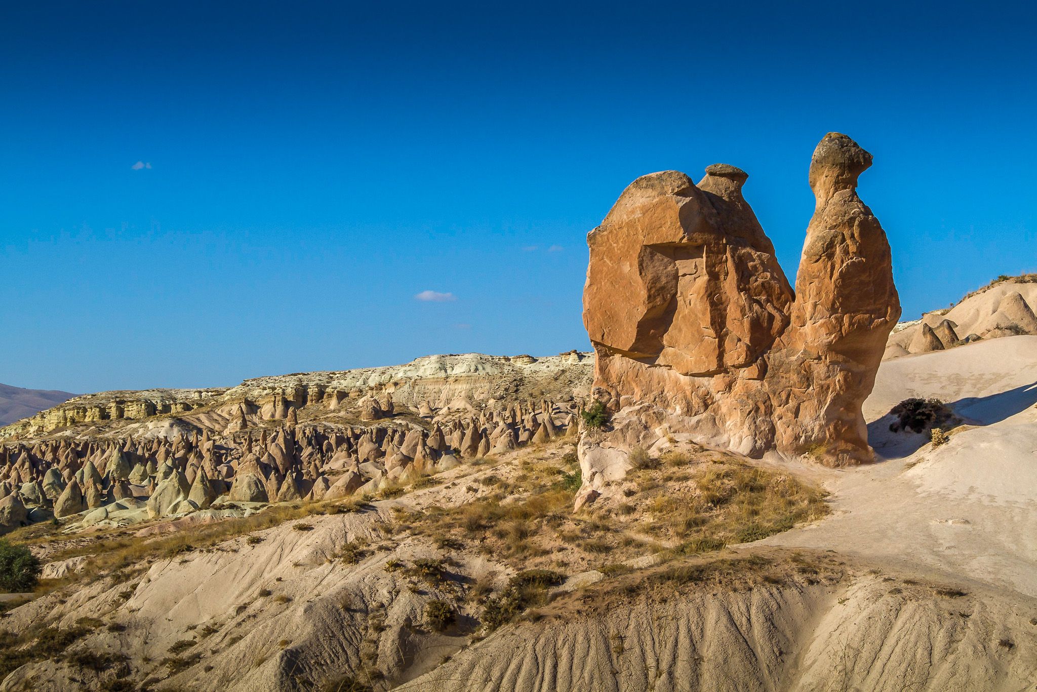 The Camel, Turkey (Türkiye)