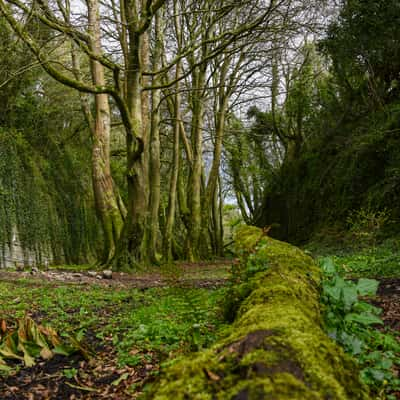 The Glen in Sligo, Ireland