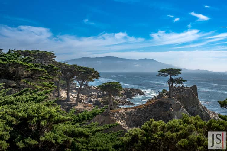 The Lone Cypress, Pebble Beach