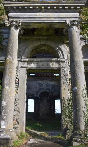 Tyrone House Ruin