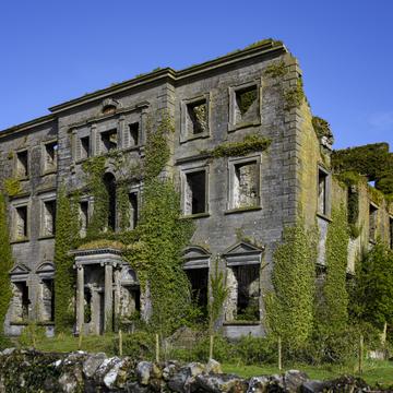 Tyrone House Ruin, Ireland
