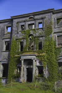 Tyrone House Ruin