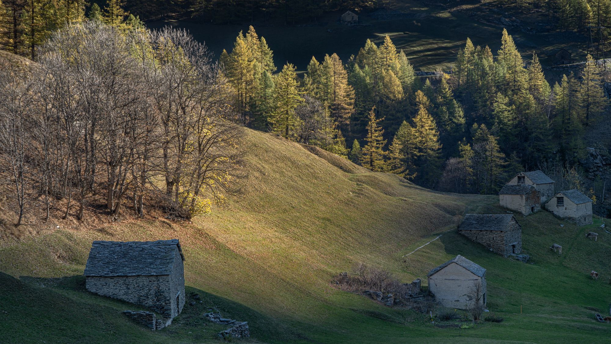 Autumn at Simplon dorf, Switzerland