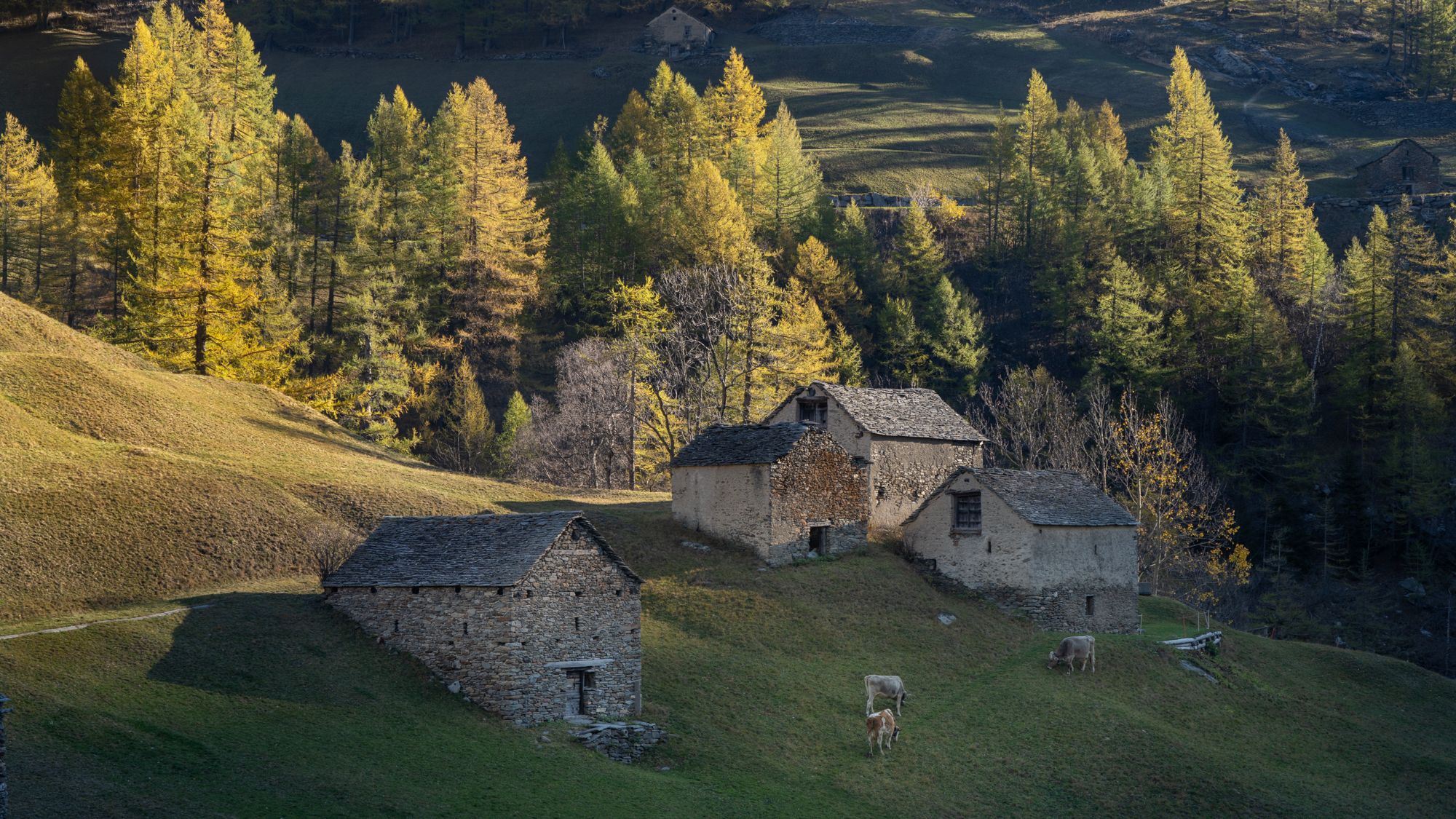 Autumn at Simplon dorf, Switzerland