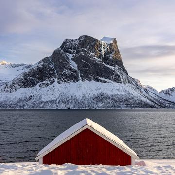 Bergsbotn red cabins, Norway