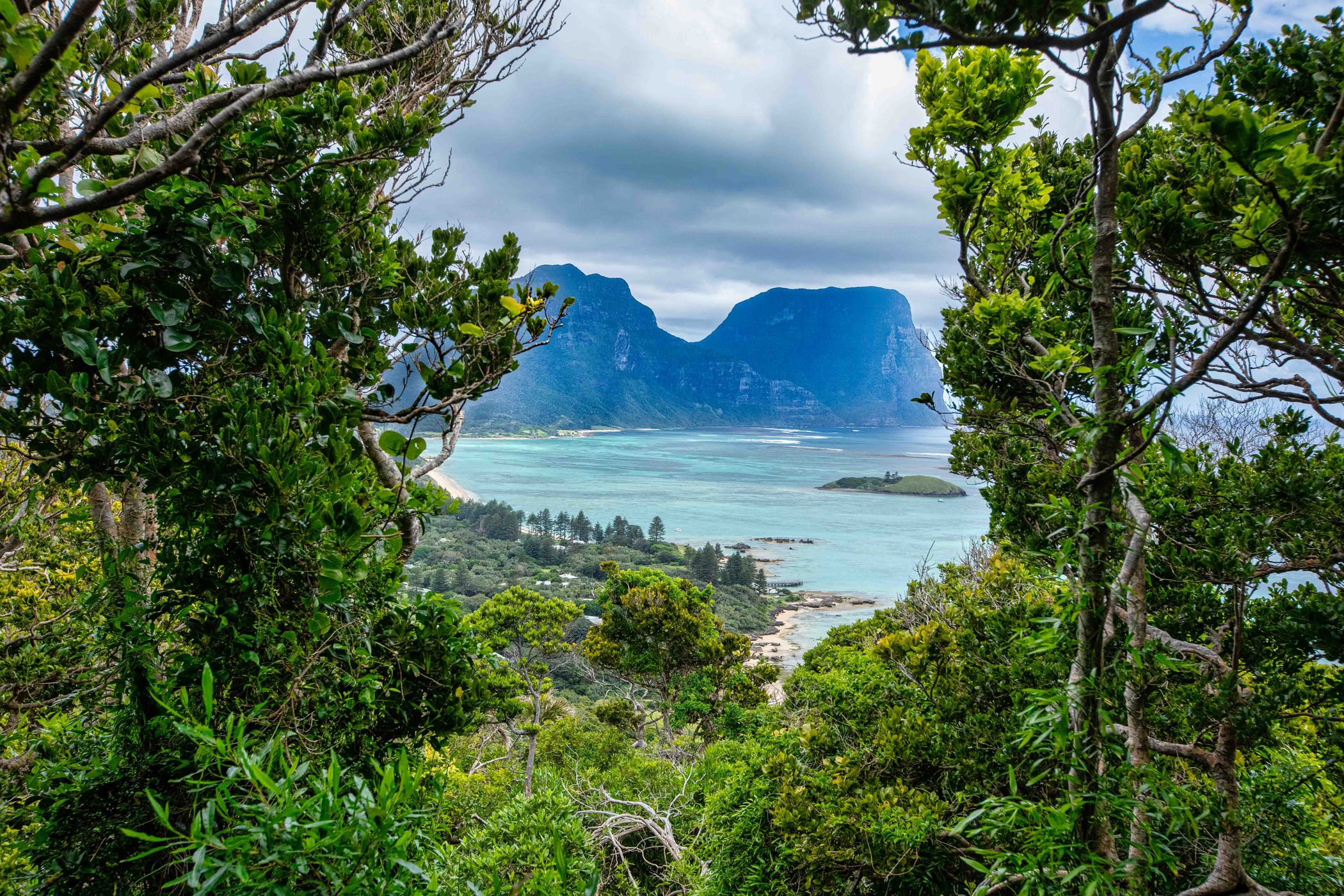 Between the trees, Kims Lookout, Lord Howe Island, NSW, Australia