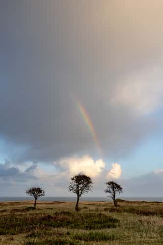 Braderuper Heide, Sylt