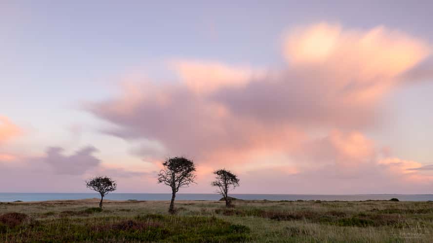 Braderuper Heide, Sylt