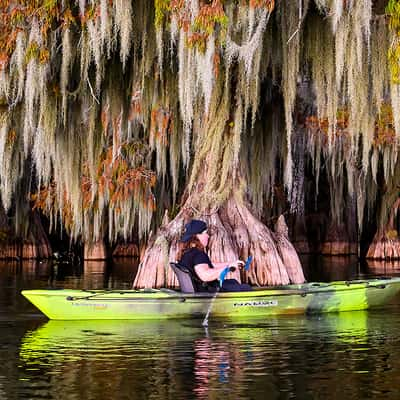 Caddo Lake, USA