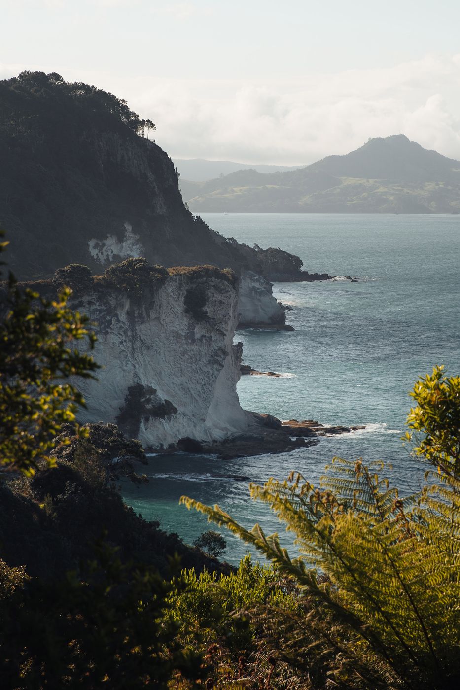 Cathedral Cove Viewpoint, New Zealand