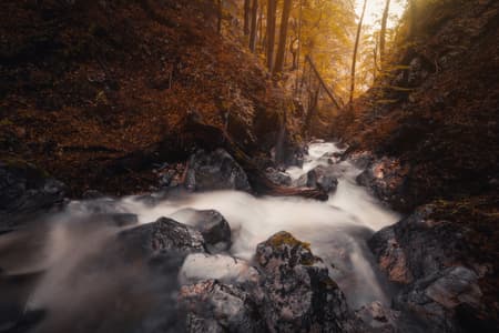 Creek Hladnik