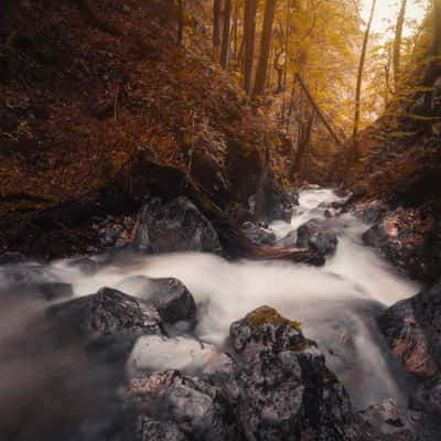 Creek Hladnik, Slovenia