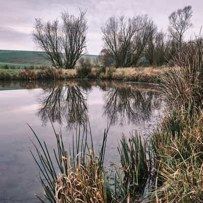 Ein kleiner Teich nahe Langendorf, Germany