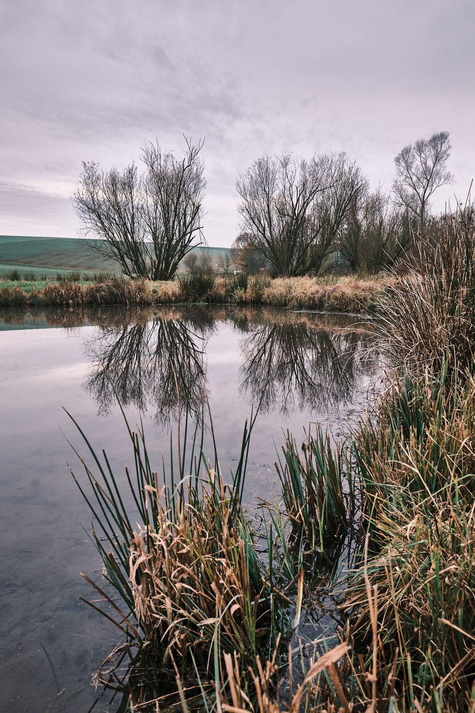 Ein kleiner Teich nahe Langendorf, Germany