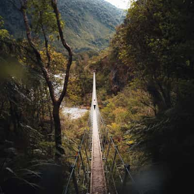 Franz Josef Glacier Walk, New Zealand