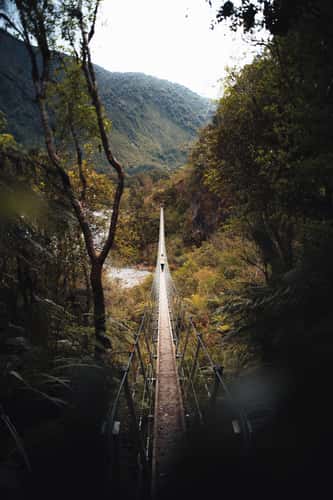 Franz Josef Glacier Walk