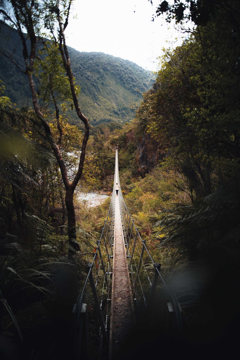 Franz Josef Glacier Walk, New Zealand