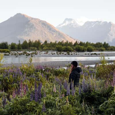 Glenorchy Walkway, New Zealand