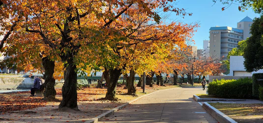 Hiroshima Peace memorial Park