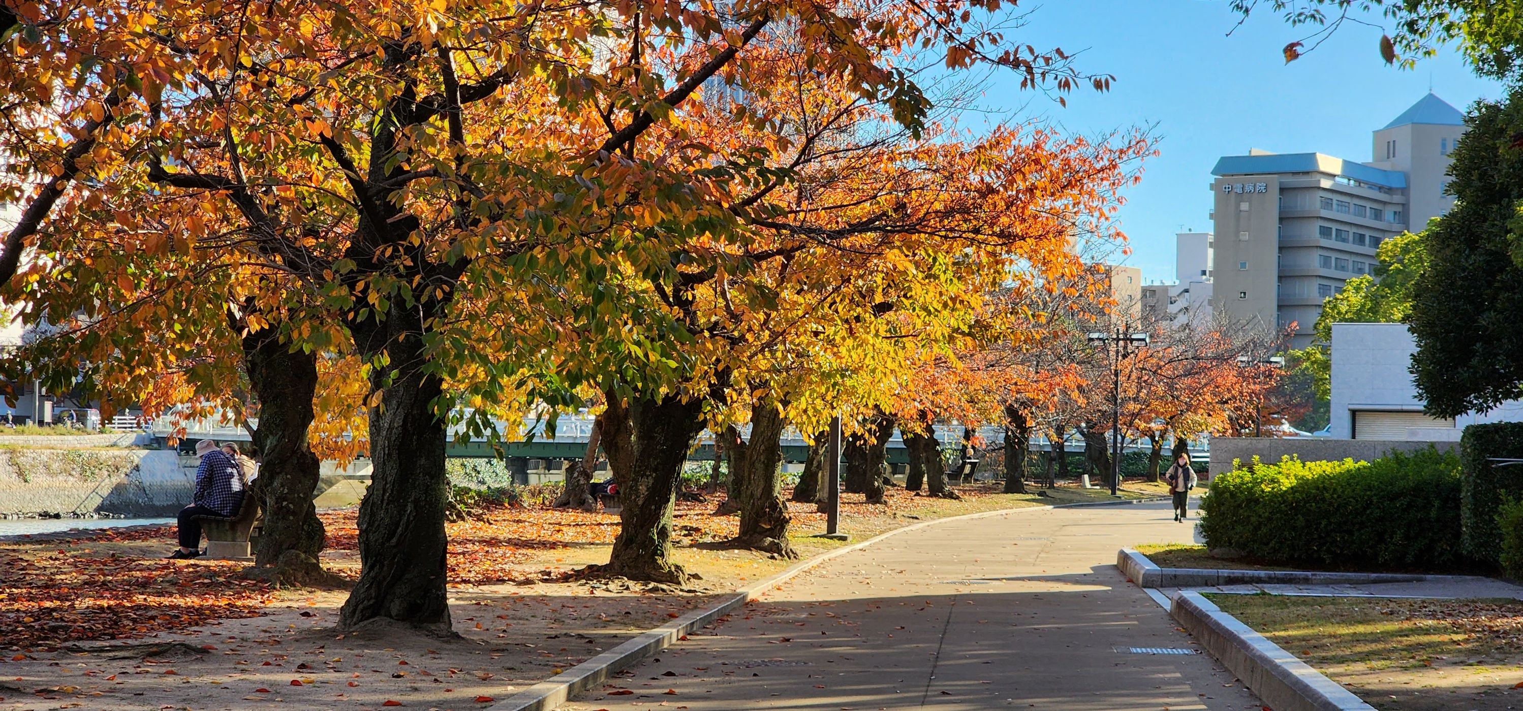 Hiroshima Peace memorial Park, Japan
