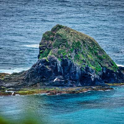 Island off Sabrie's Point, Lord Howe Island, NSW, Australia