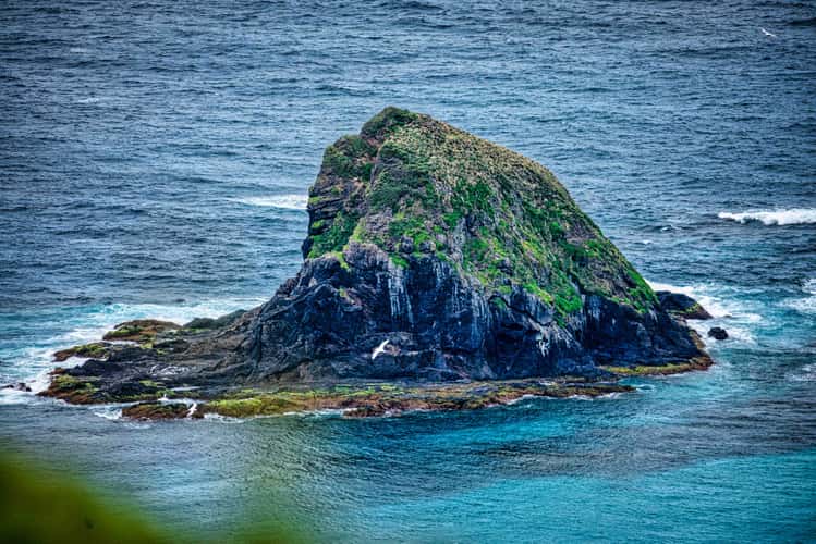 Island off Sabrie's Point, Lord Howe Island, NSW