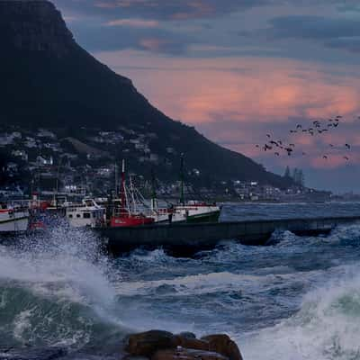 Kalk bay Harbour, South Africa