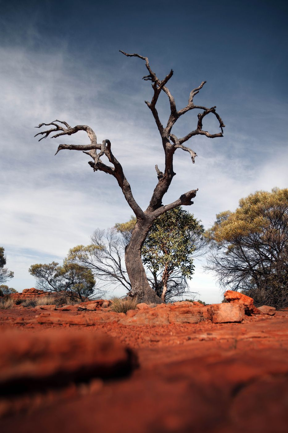 Kings Canyon Rim Walk, Australia