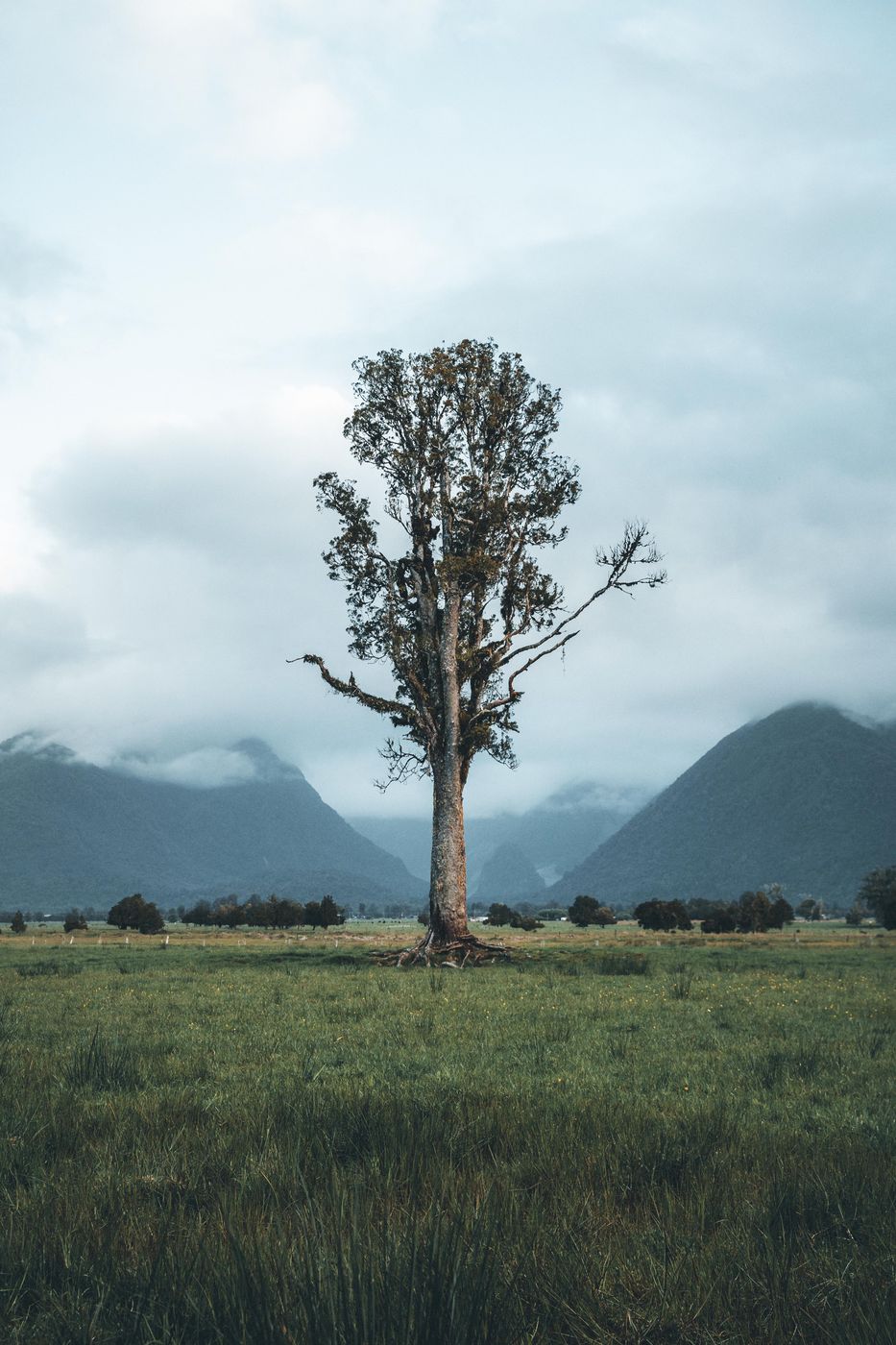 Lake Gault Track, New Zealand