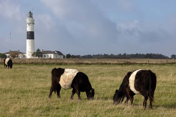 Langer Christian, Lighthouse in Kampen, Sylt