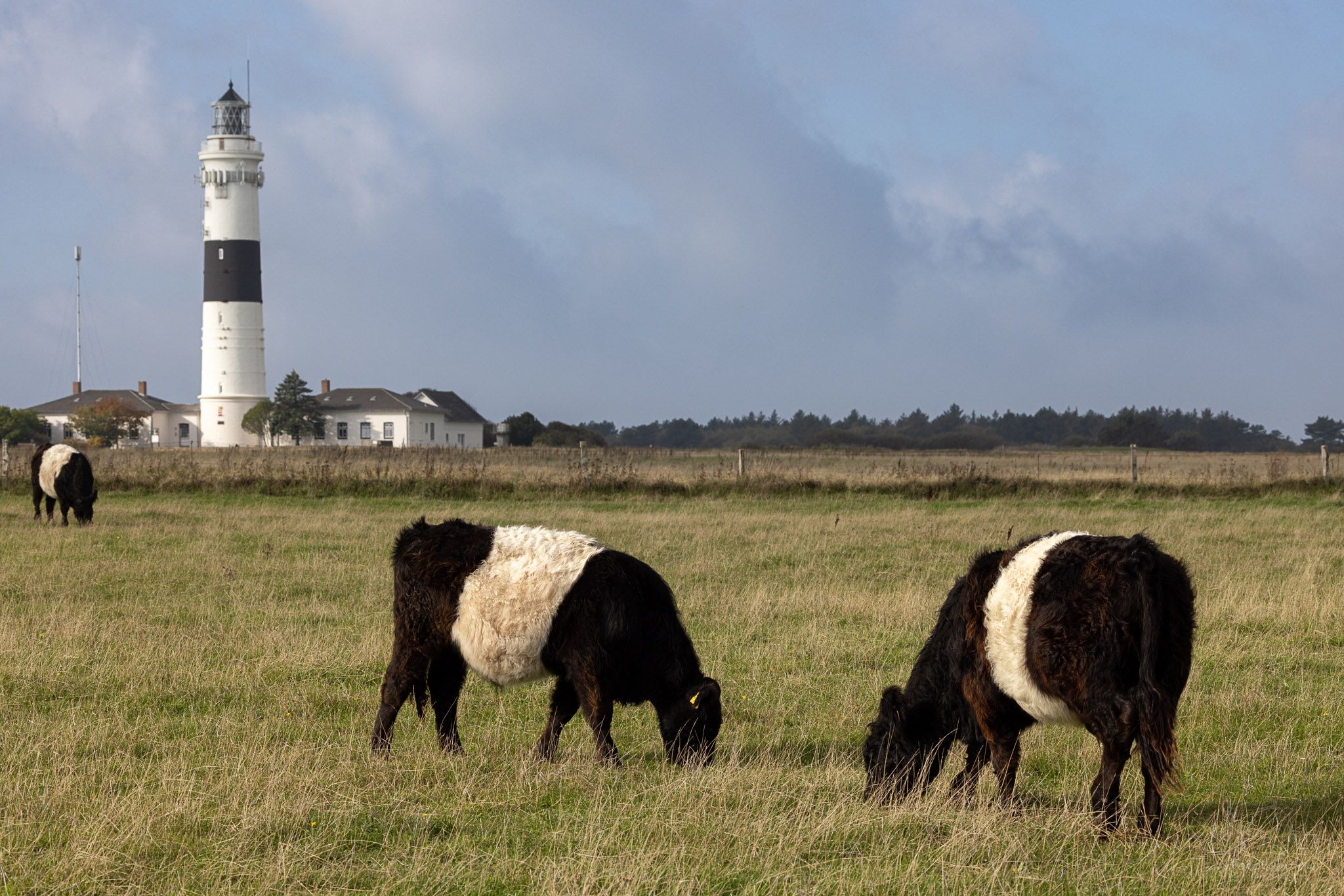 Langer Christian, Lighthouse in Kampen, Sylt, Germany