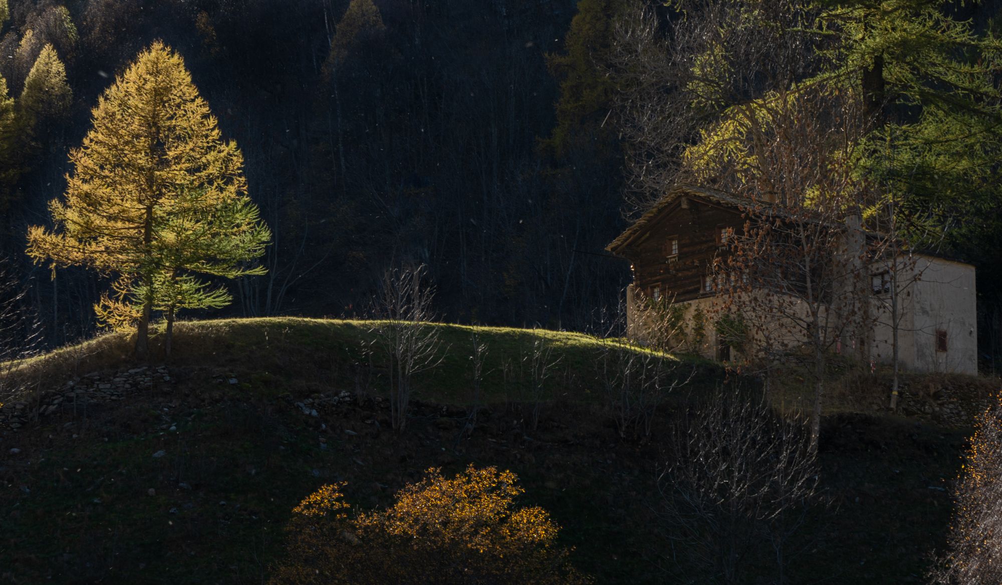 Light way to chalet, Switzerland