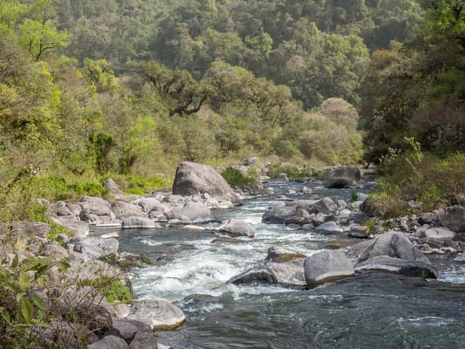 Los Sosa Nature Reserve