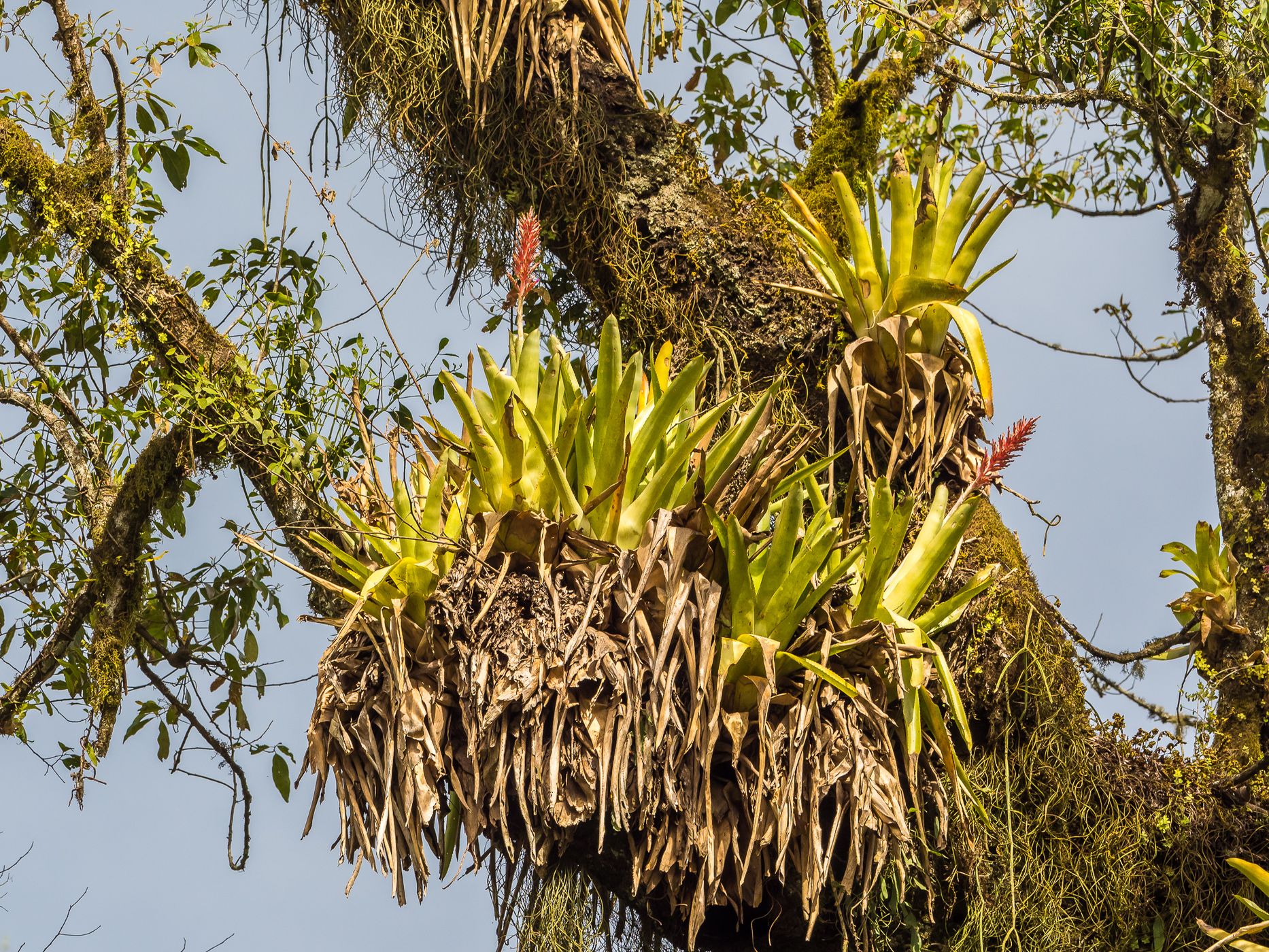 Los Sosa Nature Reserve, Argentina