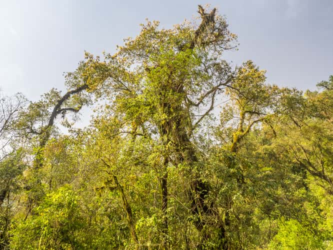 Los Sosa Nature Reserve