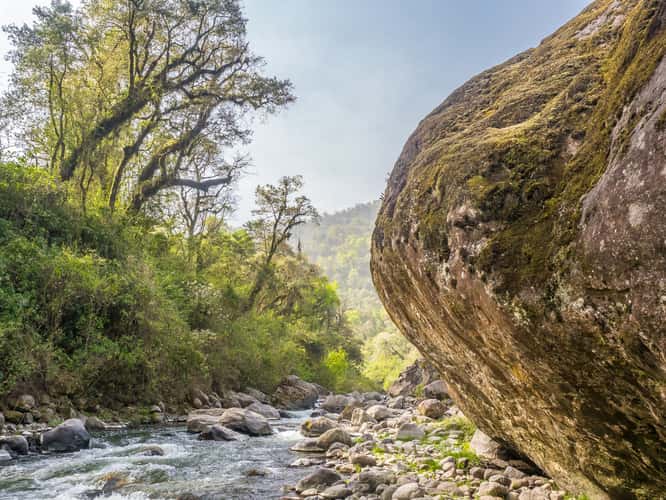 Los Sosa Nature Reserve